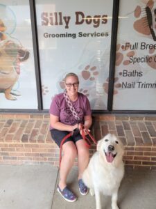 dog grooming silly dogs